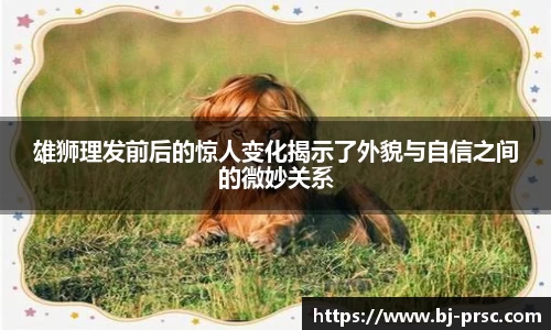 必一运动官方网站