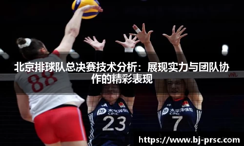 必一运动B-Sports